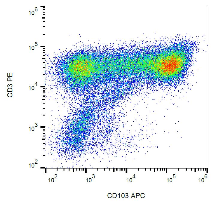 HLA-B7 Antibody (clone BB7.1, PE)