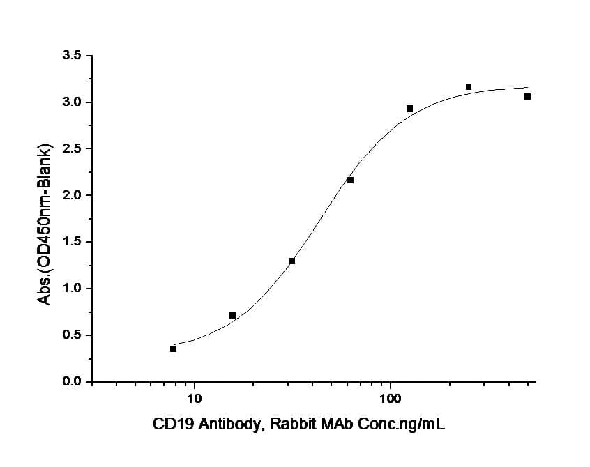 Human CD19 Protein (Recombinant His,C-terminus)