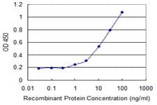 Monoclonal Mouse anti-Human GM2A Antibody (clone 2C8)