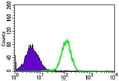 Monoclonal Mouse anti-Human RPL18A Antibody (clone 6G6G10, Amino Acid: 50-176, IHC, IF, WB)