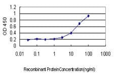 ZNF37A Antibody (clone 5F9)