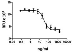 Human KDR / VEGFR2 / FLK1 Protein (Recombinant)