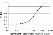 AKAP7 Antibody (clone 1F9)