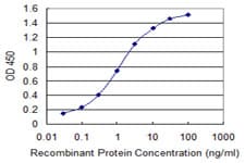 PTP4A2 / PRL-2 Antibody (clone 3C2)