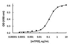 Mouse THPO / TPO / Thrombopoietin Protein (Recombinant)