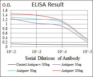 Monoclonal Mouse anti-Human PRKACG Antibody (clone 2E4, IHC, WB)