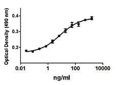 Human IGF2 Protein (Recombinant)