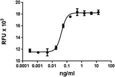 Human IL4 Protein (Recombinant)