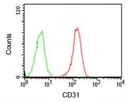 PECAM-1 / CD31 Antibody (clone PCM25-1, Ready-to-Use)