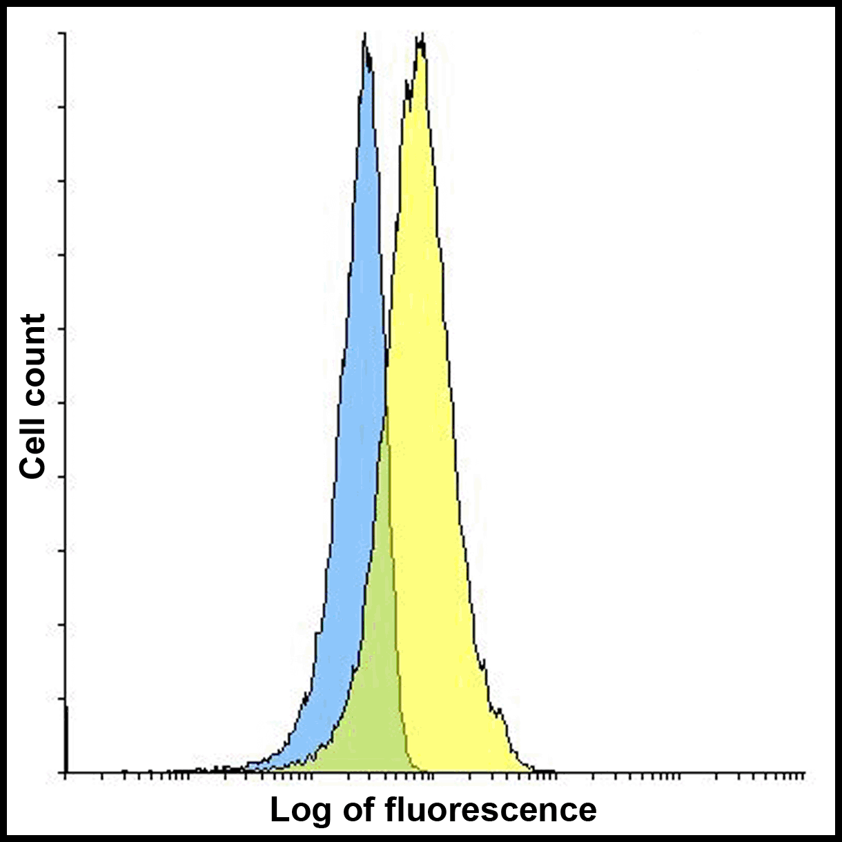 Monoclonal Mouse anti-Human CD274 / B7-H1 / PD-L1 Antibody (clone 4F2, IHC, IF, WB)