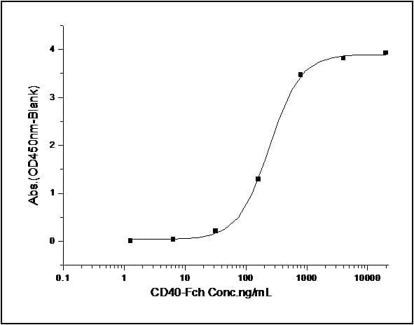 Human CD40L Protein (Recombinant His,C-terminus)