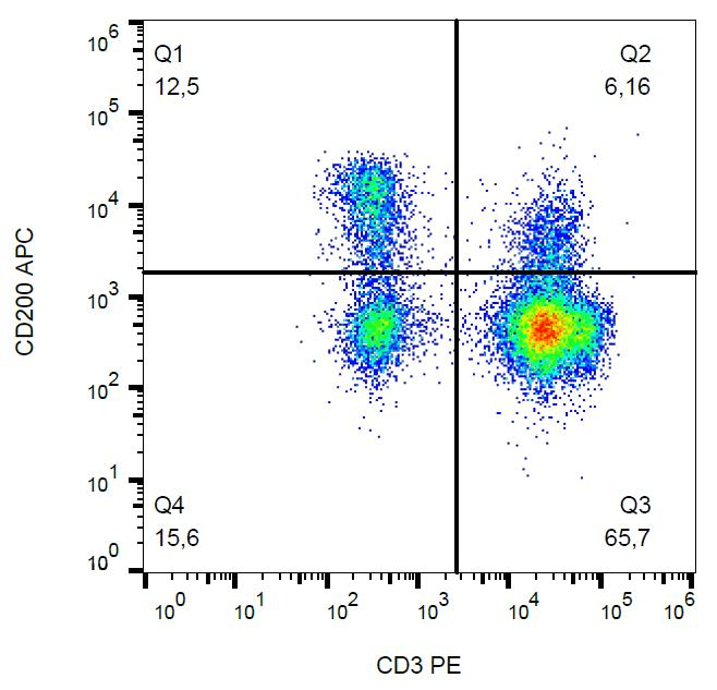CD200 Antibody (clone OX-104, APC)