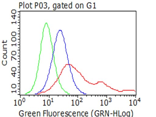 CDH1 / E Cadherin Antibody (clone UMAB184)