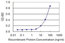 CYP2A6 Antibody (clone 3B11)