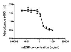 Mouse EGF Protein (Recombinant)