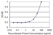 MMRN1 Antibody (clone 1G10)