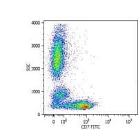 CD7 Antibody (clone MEM-186)