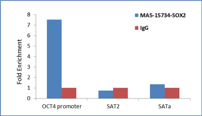 SOX2 Antibody (clone 10F10)
