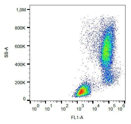 LYZ / Lysozyme Antibody (clone LZ598-10G9, FITC)