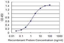 IFIT3 Antibody (clone 2C10)