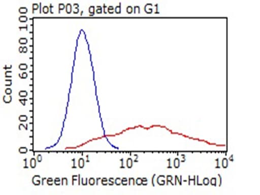 LYVE1 Antibody (aa20-238, clone OTI11C1)