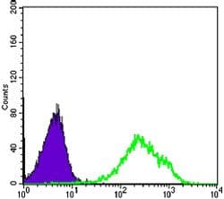 Monoclonal Mouse anti-Human DAXX Antibody (clone 7A11, IF, WB)