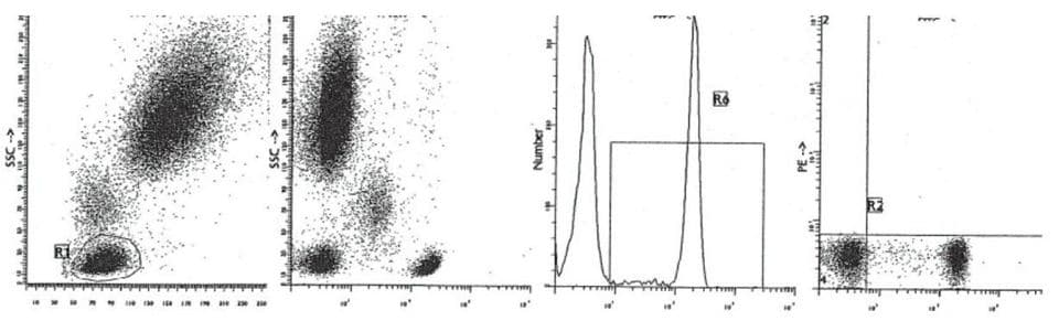 CD4 Antibody (clone Edu-2)