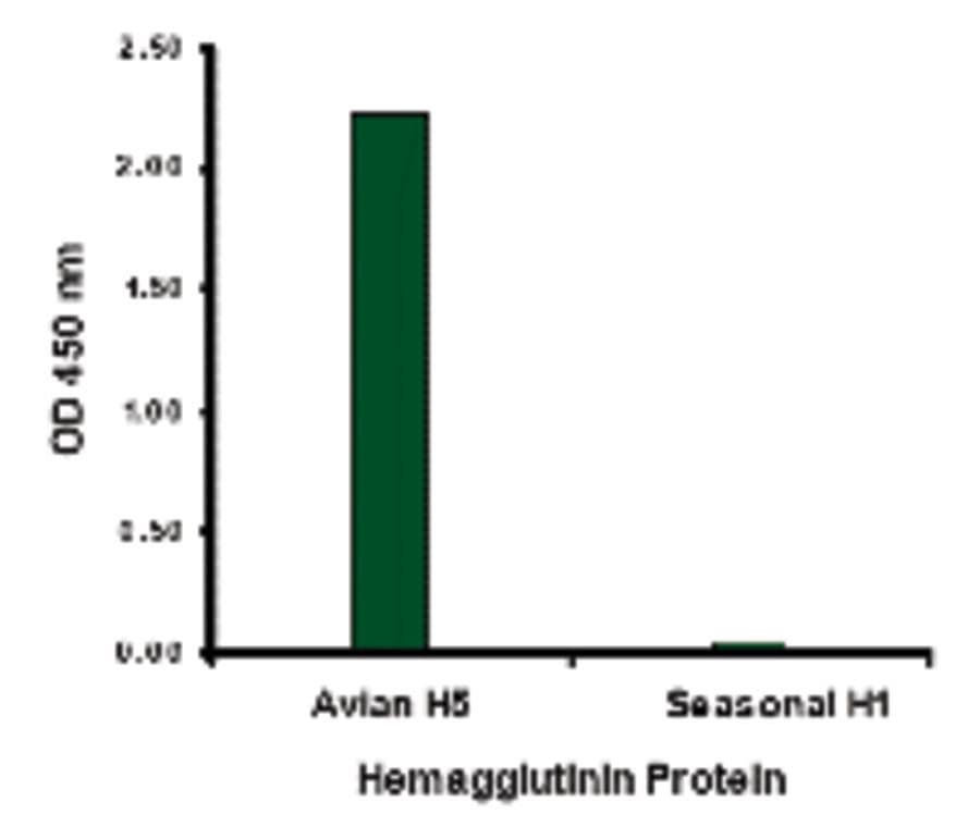 Influenza A Virus Hemagglutinin Antibody