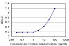 Monoclonal Mouse anti-Human FOSL2 / FRA-2 Antibody (clone 2B2, WB)