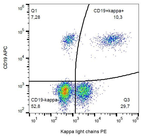 Anti-Mouse Kappa Light Chain Secondary Antibody (clone TB28-2, PE)
