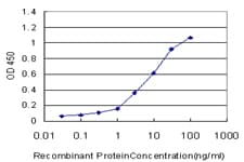 TP53BP2 / ASPP2 Antibody (clone 3F8)