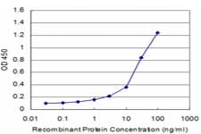 FUT7 Antibody (clone 1C12)