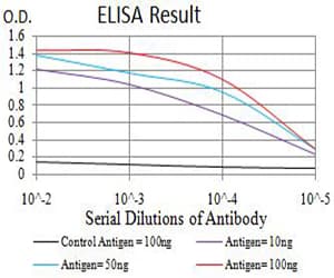 Monoclonal Mouse anti-Human ASH2L / ASH2 Antibody (clone 6B10H10, IHC, WB)