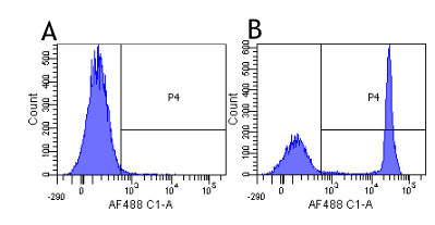 CD4 Antibody (CD4, clone CE9.1 (Clenoliximab))