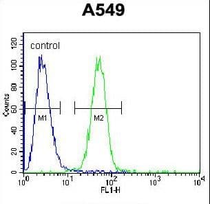 CARD16 / COP Antibody (aa37-65)