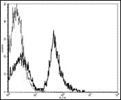 CD19 Antibody (clone MB19-1, FITC)