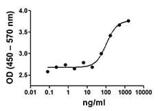 Human CD14 Protein (Recombinant)