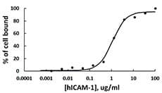 Human ICAM-1 / CD54 Protein (Recombinant)