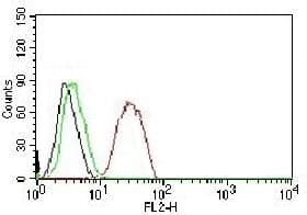 CCND1 / Cyclin D1 Antibody (clone BCLD1-1, PE)