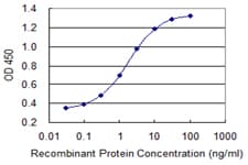 SI / Sucrase Isomaltase Antibody (clone 1A8)