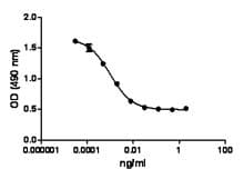 Rat TNF Alpha Protein (Recombinant)