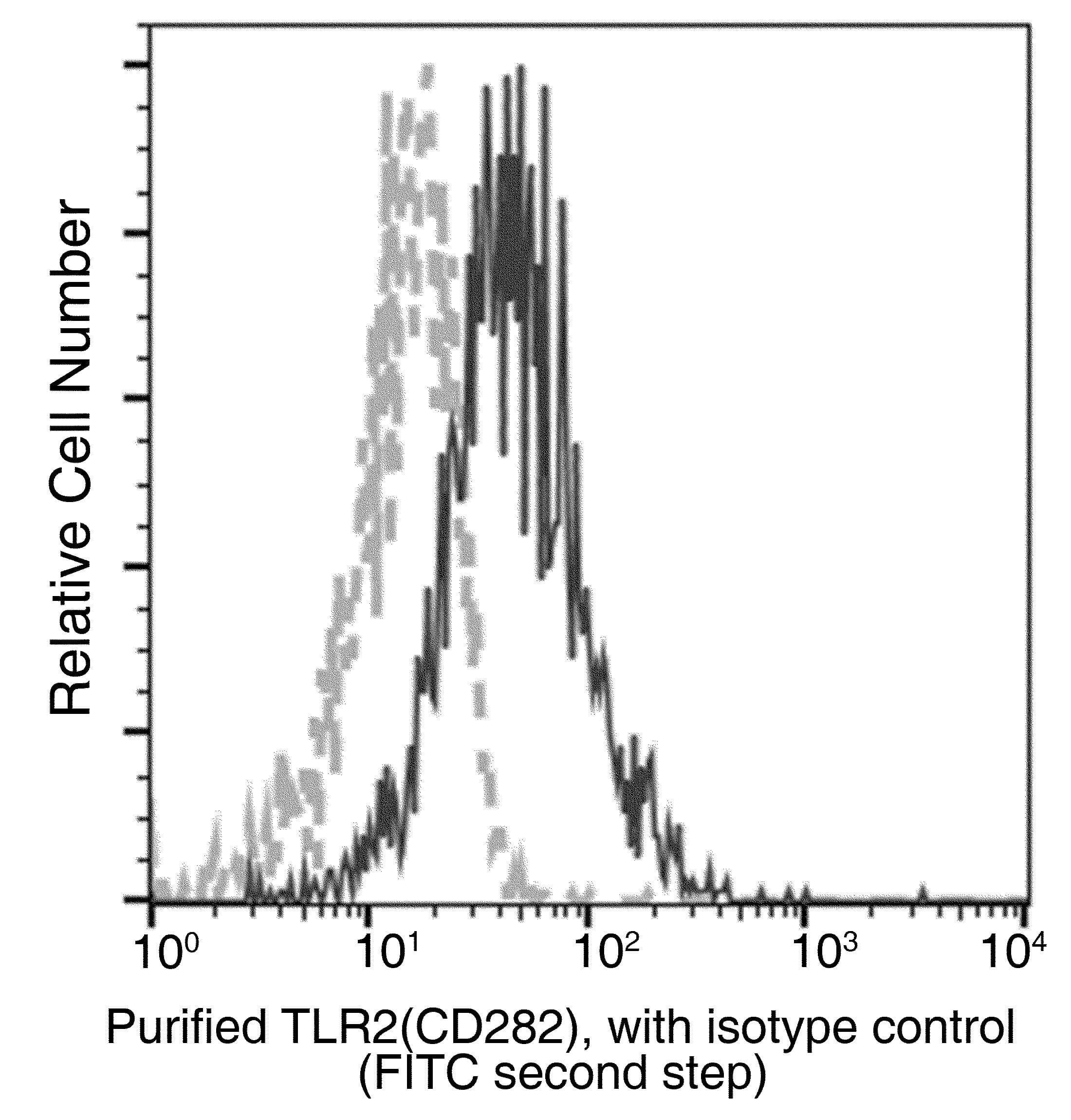 TLR2 Antibody (clone 067, Preservative Free)