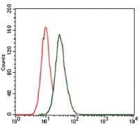 MAP1LC3B / LC3B Antibody (clone 5H12)