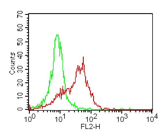 TLR2 Antibody (PE)