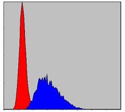 CASP8 / Caspase 8 Antibody (clone 1H11)