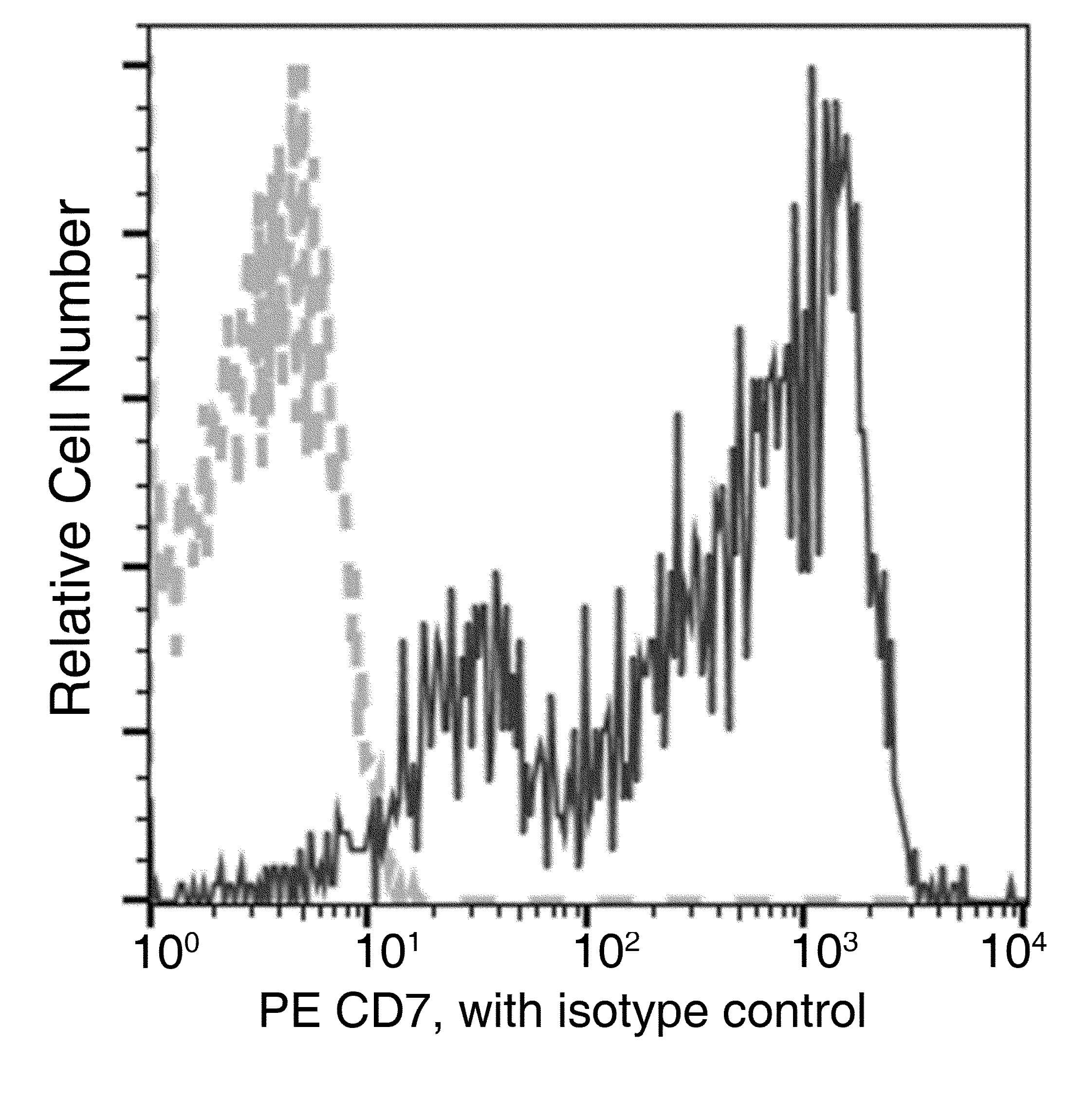 Monoclonal Mouse anti-Human CD7 Antibody (clone 12, PE)