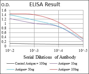PHC1 / EDR1 Antibody (aa758-1004, clone 1F3F3)