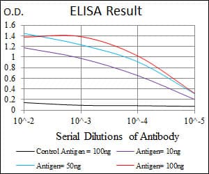 TNNT2 / CTNT Antibody (clone 1G1)