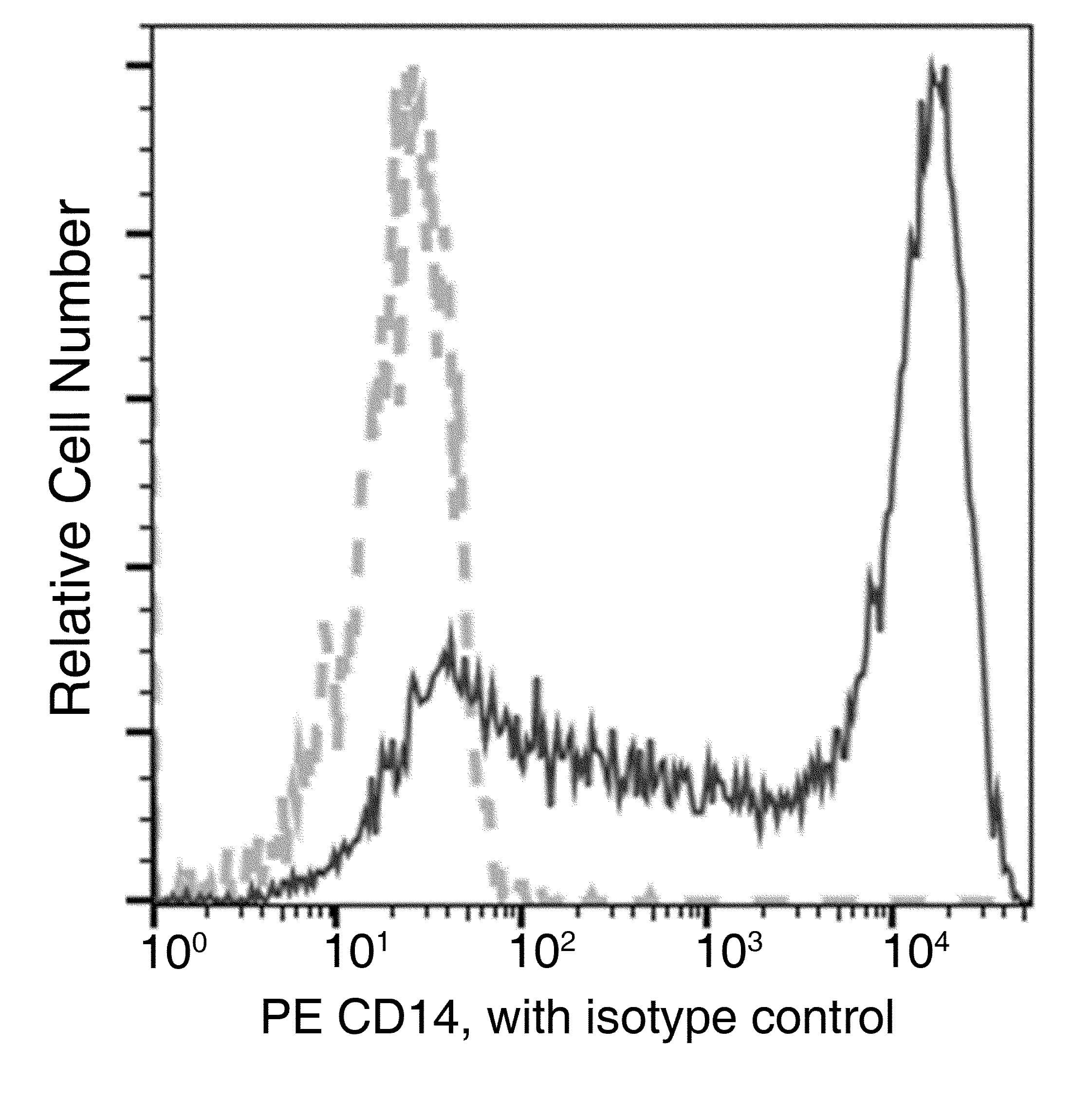 CD14 Antibody (clone 12, PE)