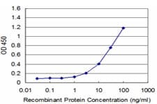 EGFR Antibody (clone 4H2)